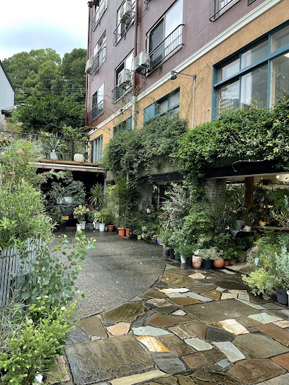 観葉植物専門店リトルファンタジー, 京都