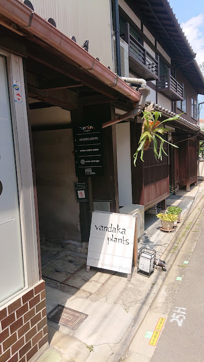 vandaka plants KYOTO, 京都