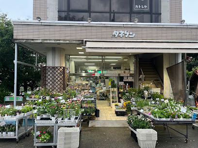 タネ源本店, 京都