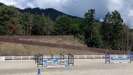 SILVANO STABLES, 京都