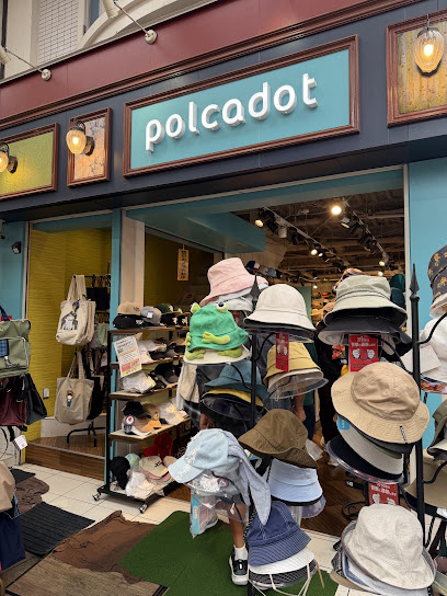 polcadot, 京都